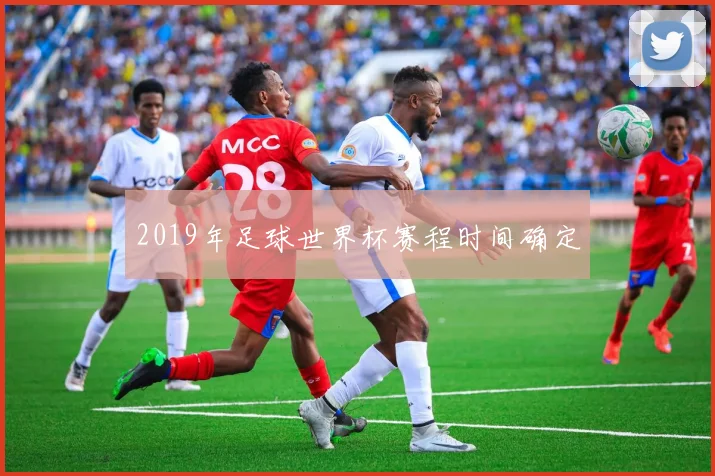2019年足球世界杯赛程时间确定