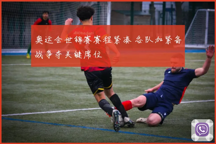 奥运会世锦赛赛程紧凑 各队加紧备战争夺关键席位